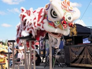 Ein chinesischer Löwe bei der Einweihungszeremonie auf einem Ständer beim Chinesische Neujahr Feiern